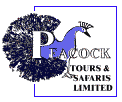 Peacock Safaris